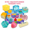 Stress Relief Squishy Fidget Toy Set